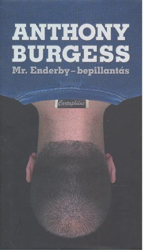 Mr. Enderby /Bepillantás