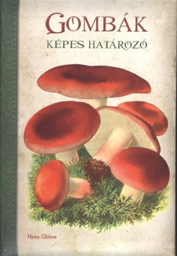 Képes határozó : Gombák