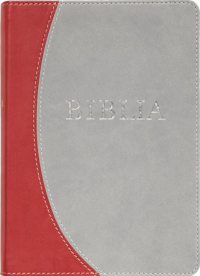 Biblia /Revideált, új fordítású - középméretű /narancs-szürke