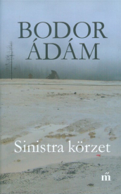 Sinistra körzet