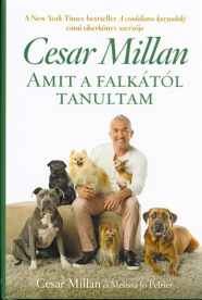 Amit a falkától tanultam