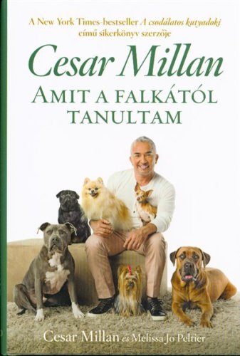 Amit a falkától tanultam
