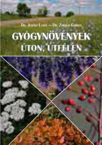 Gyógynövények úton, útfélen