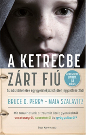 *A ketrecbe zárt fiú - és más történetek egy gyerekpszichiáter jegyzetfüzetéből (2. kiadás)
