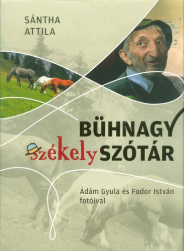 Bühnagy székely szótár