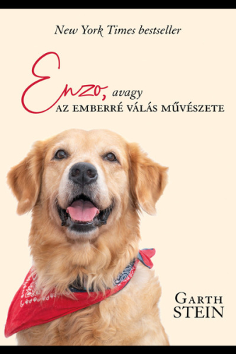 Enzo, avagy az emberré válás művészete