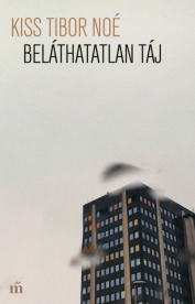 Beláthatatlan táj