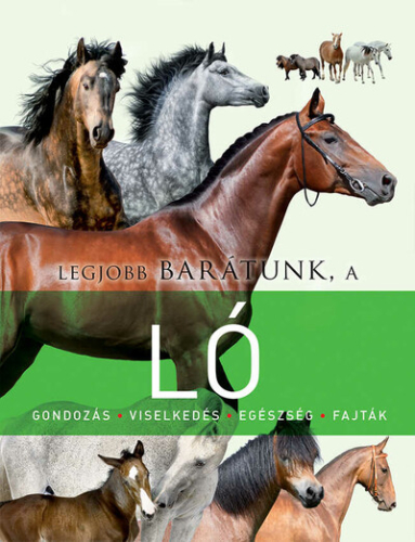 Legjobb barátunk a ló - Legjobb barátunk...