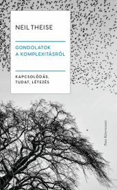 Gondolatok a komplexitásról - Kapcsolódás, tudat, létezés