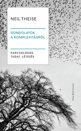 Gondolatok a komplexitásról - Kapcsolódás, tudat, létezés