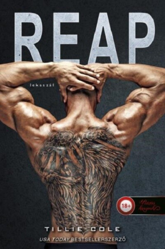 Reap - Lekaszál - Scarred Souls 2.