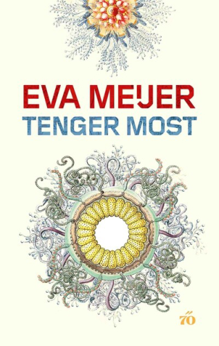 Tenger Most