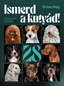 Ismerd a kutyád! - A legnépszerűbb kutyafajták gyűjteménye