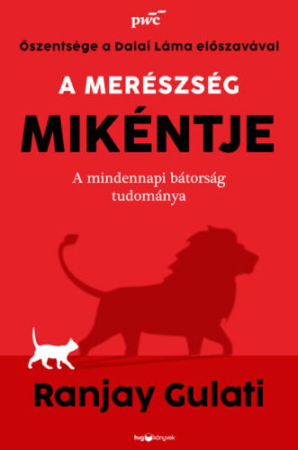 A merészség mikéntje - A mindennapi bátorság tudománya