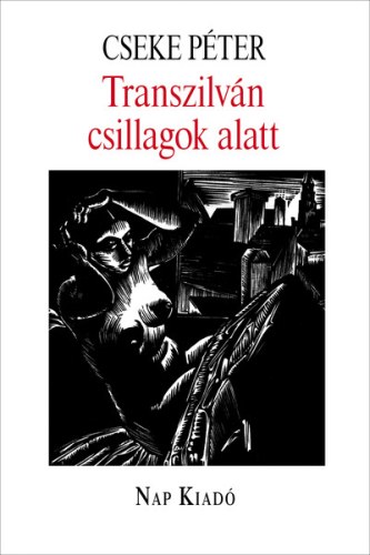 Transzilván csillagok alatt - Magyar esszék sorozat