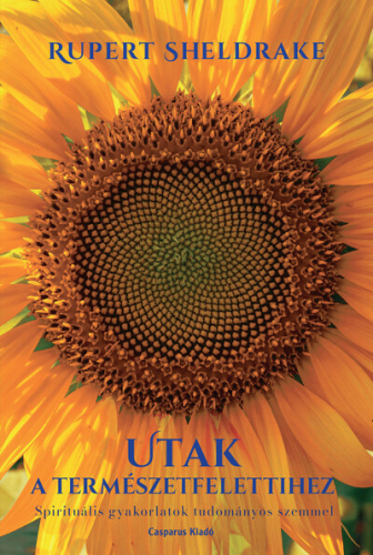 Utak a természetfelettihez - Spirituális gyakorlatok tudományos szemmel