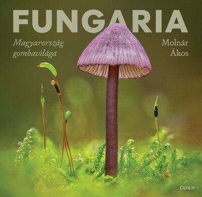 Fungaria - Magyarország gombavilága