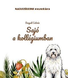 Sajó a kollégiumban - Nagyszüleink mesetára