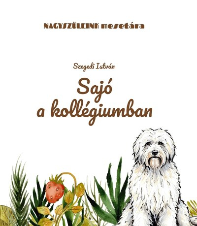 Sajó a kollégiumban - Nagyszüleink mesetára
