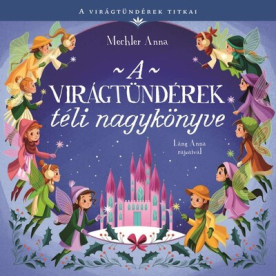 A virágtündérek téli nagykönyve - A virágtündérek titkai